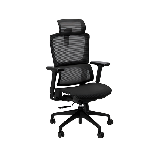 Descubre la silla ejecutiva modelo AQUA de Aura Muebles de Guadalajara. Diseñada con ergonomía brinda soporte para la espalda y una postura saludable.